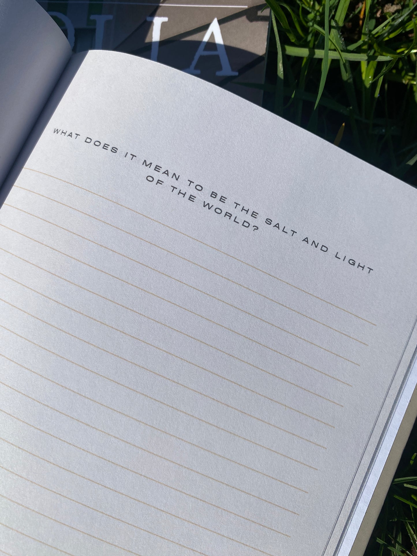 Conversation With My Healer